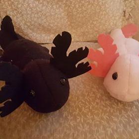 Peluche Axolotl Rose et Noir Krokemou et Coeur d'Amour | hoshimagu.com